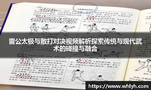 雷公太极与散打对决视频解析探索传统与现代武术的碰撞与融合